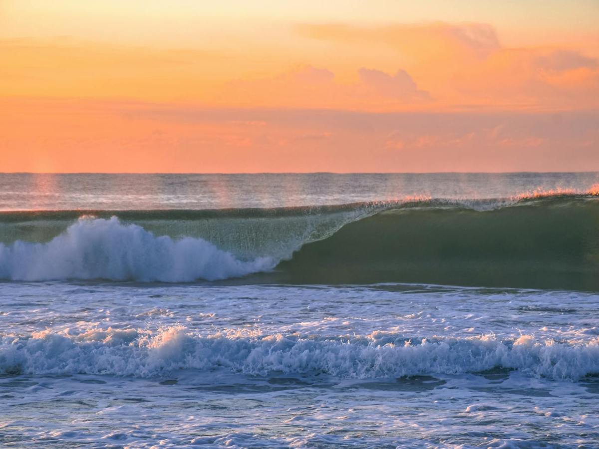 Waves and Wonder of&nbsp;Gratitude